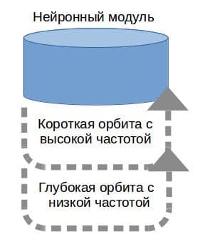 Нейронный модуль